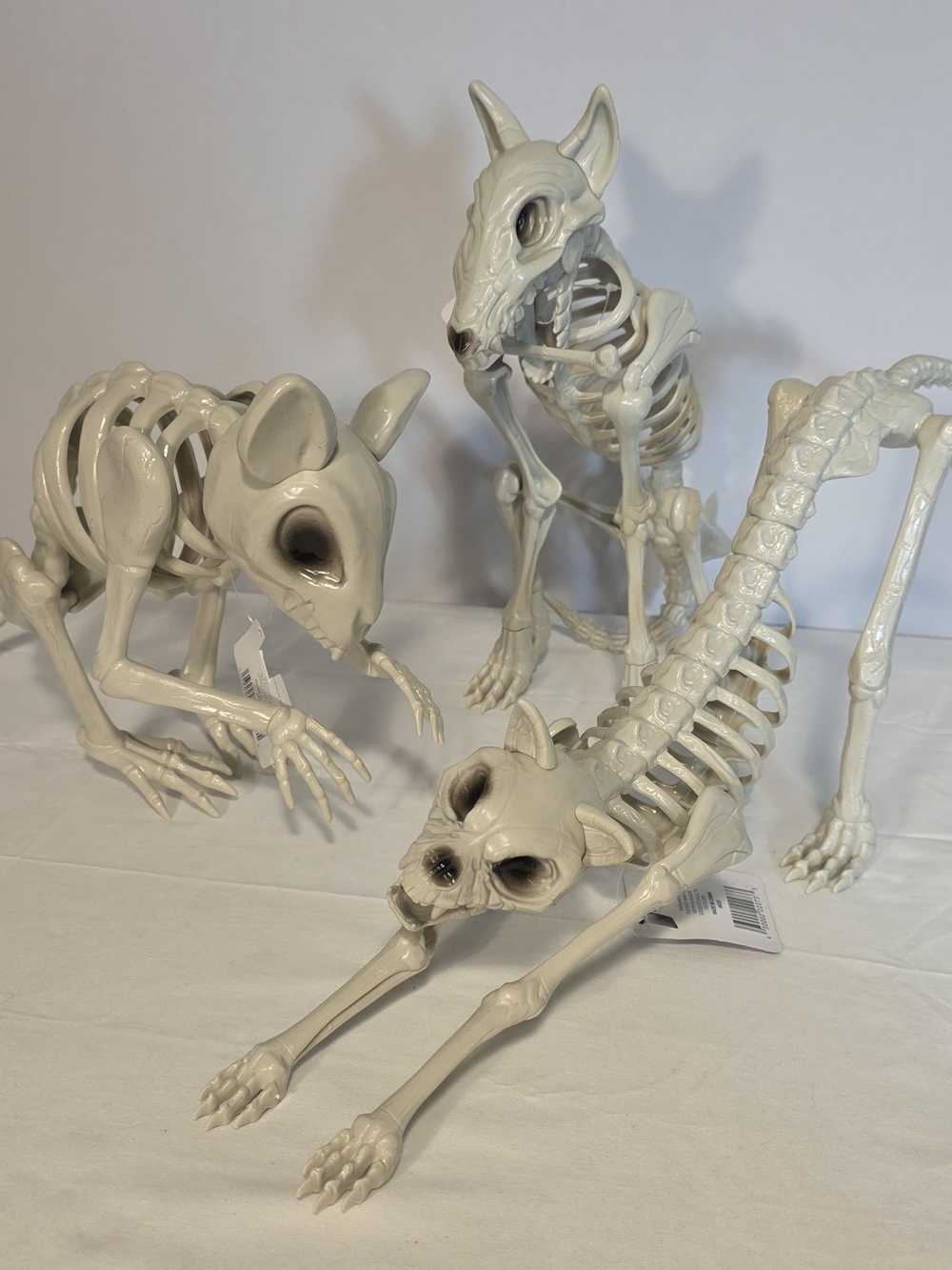 NEW Halloween Lot Of 3 Animal Skeleton Figures Decorations Dog Cat Rat Creepy